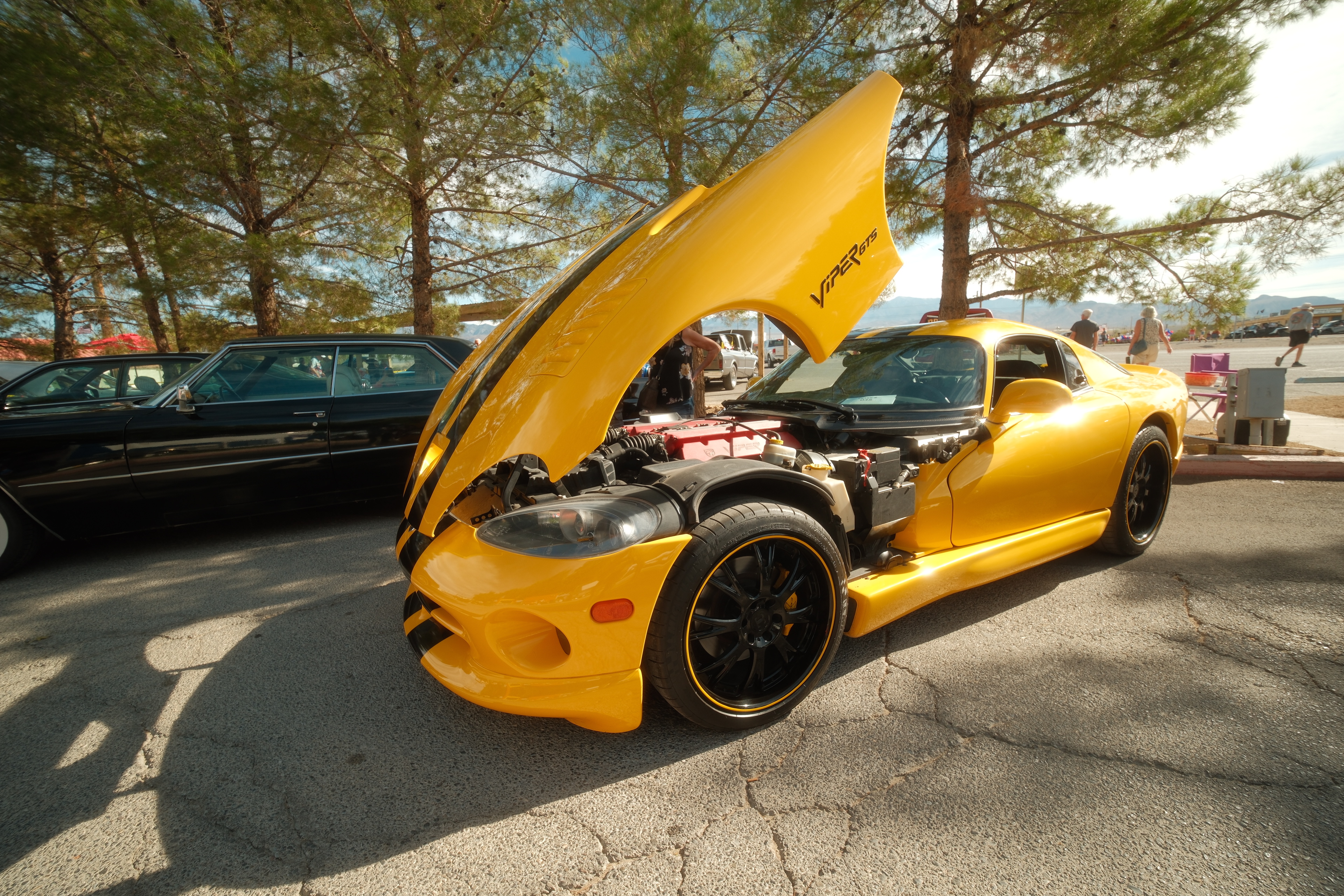 Show & Shine photo by Classic Cars Lover 2026